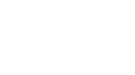 logo lichtman